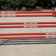 Red Wellington Poles